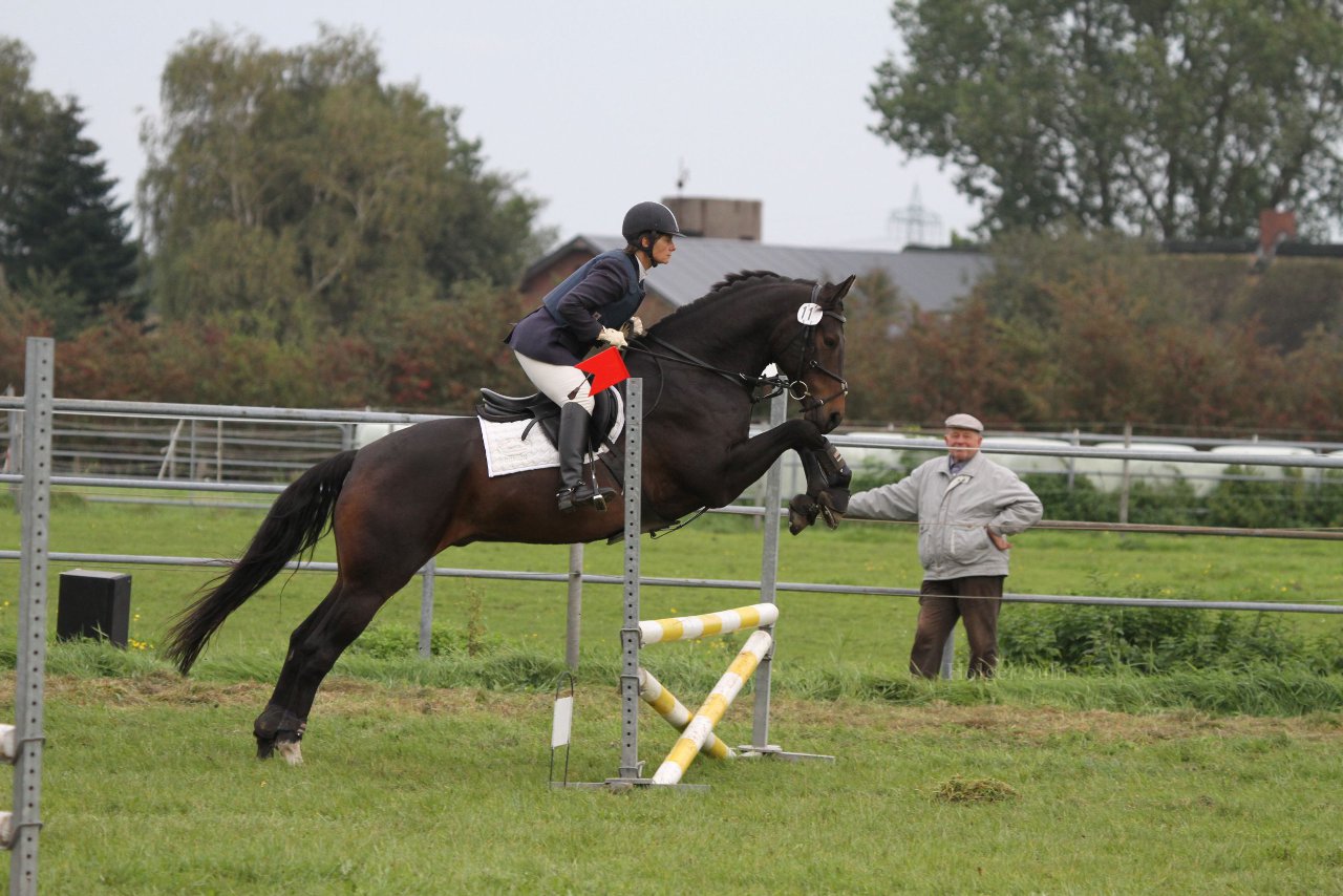 Bild 1451 - WBO-Turnier am 18.9.11
